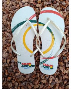CHINELOS HAVAIANAS SLIM FEMININO 41-42