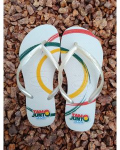 CHINELOS HAVAIANAS SLIM FEMININO 33-34