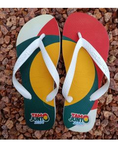 CHINELOS HAVAIANAS TOP MASCULINO 39-40