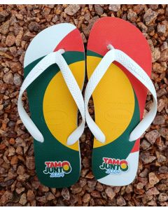 CHINELOS HAVAIANAS TOP MASCULINO 41-42