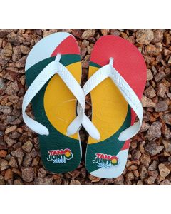 CHINELOS HAVAIANAS TOP INFANTIL 31-32